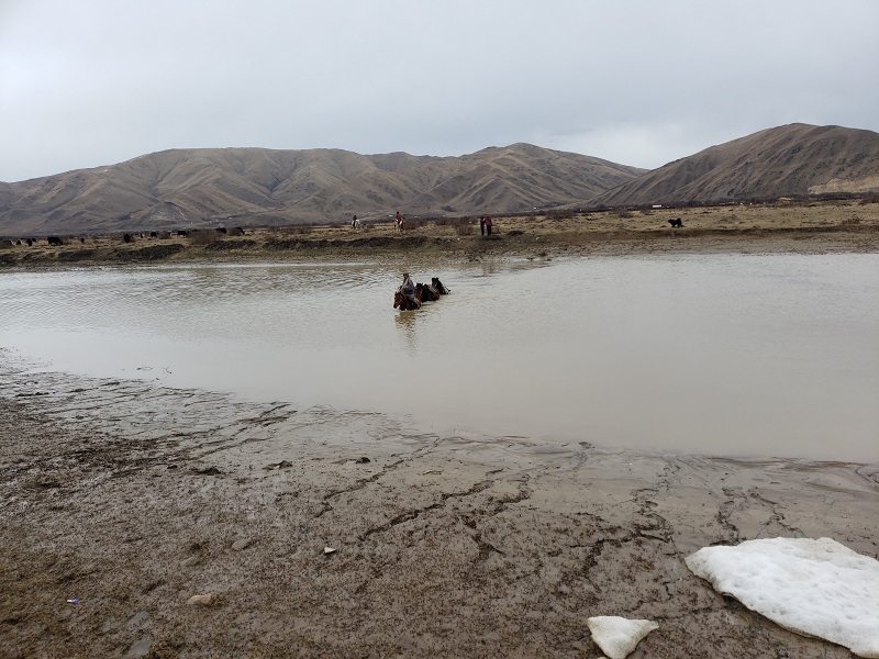 1653877467.jpg 4.jpg